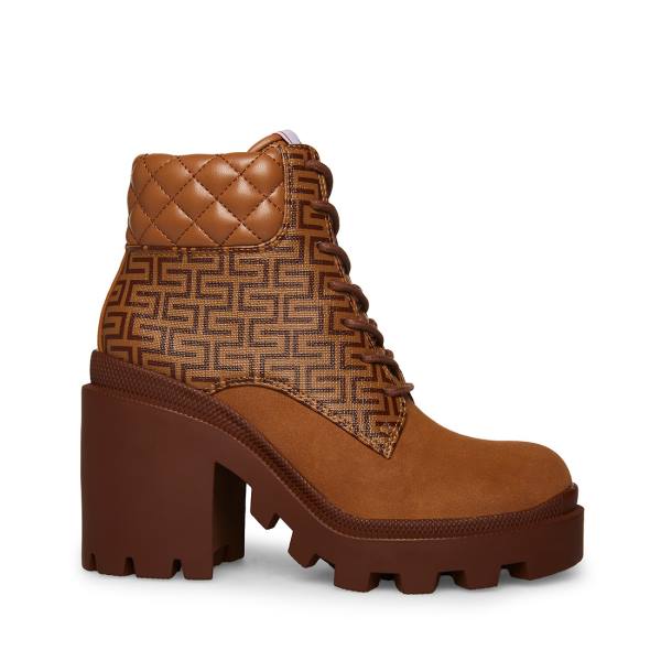 Botki Damskie Steve Madden Aryn Tan Brązowe Kolorowe | SM-417DM