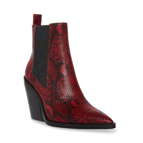Botki Damskie Steve Madden Caution Snake Czerwone Wąż | SM-809UF