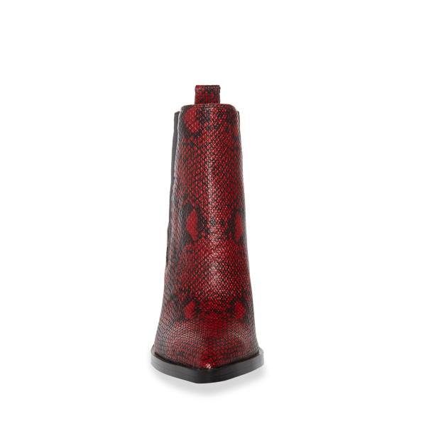 Botki Damskie Steve Madden Caution Snake Czerwone Wąż | SM-809UF