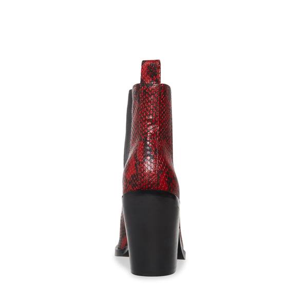 Botki Damskie Steve Madden Caution Snake Czerwone Wąż | SM-809UF