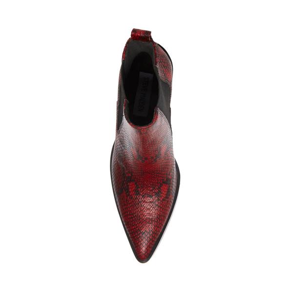 Botki Damskie Steve Madden Caution Snake Czerwone Wąż | SM-809UF