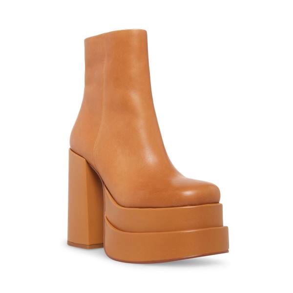 Botki Damskie Steve Madden Cobra Tan Skórzane Brązowe | SM-182XO