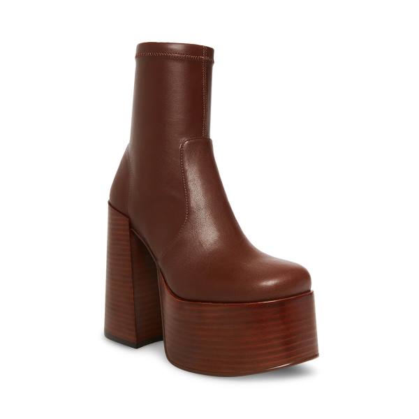 Botki Damskie Steve Madden Eve Brązowe | SM-501UX