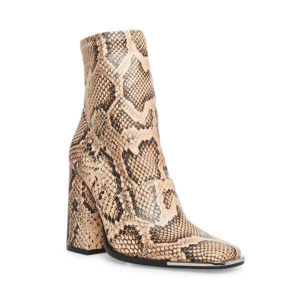 Botki Damskie Steve Madden Excess Natural Snake Beżowe Wąż | SM-189CL