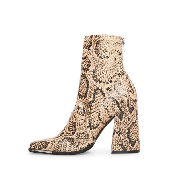 Botki Damskie Steve Madden Excess Natural Snake Beżowe Wąż | SM-189CL