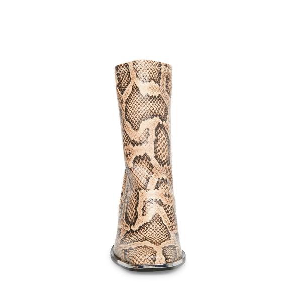 Botki Damskie Steve Madden Excess Natural Snake Beżowe Wąż | SM-189CL