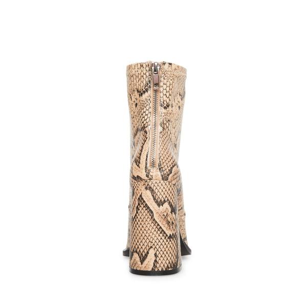 Botki Damskie Steve Madden Excess Natural Snake Beżowe Wąż | SM-189CL