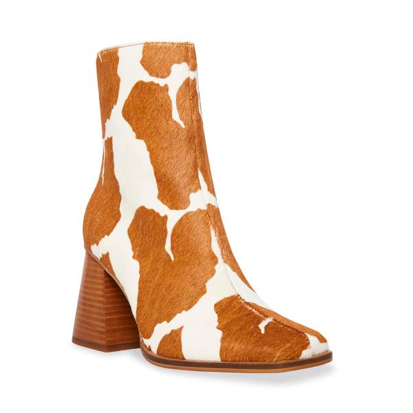 Botki Damskie Steve Madden Nara-c Tan Brązowe Brązowe | SM-608EP