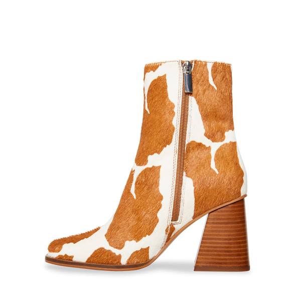 Botki Damskie Steve Madden Nara-c Tan Brązowe Brązowe | SM-608EP