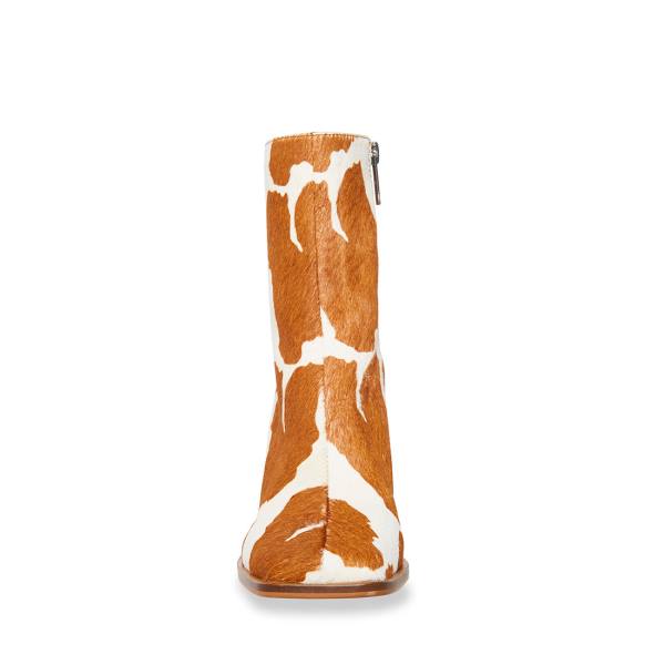 Botki Damskie Steve Madden Nara-c Tan Brązowe Brązowe | SM-608EP