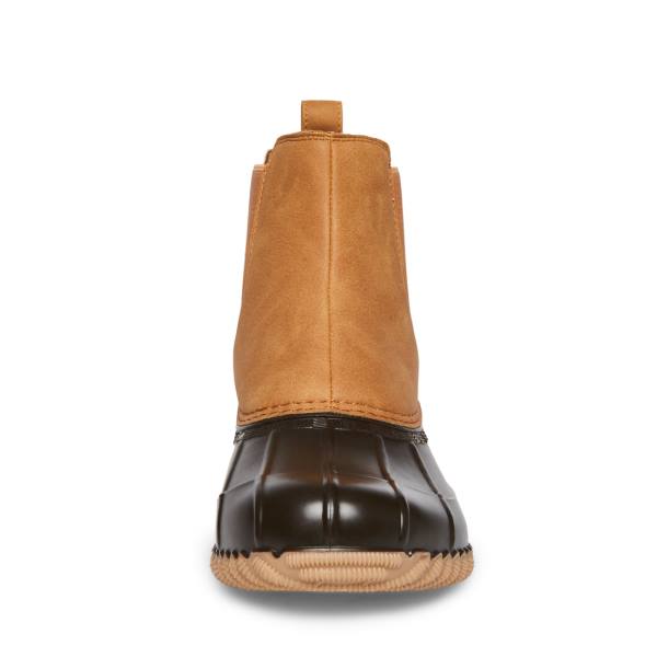 Botki Damskie Steve Madden Newlin Tan Brązowe | SM-930JX