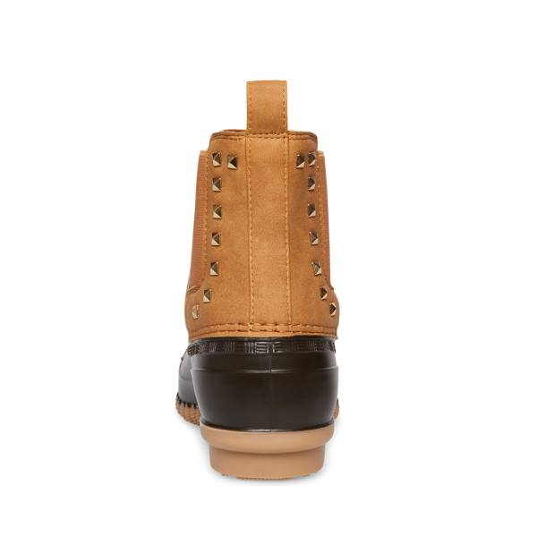 Botki Damskie Steve Madden Newlin Tan Brązowe | SM-930JX