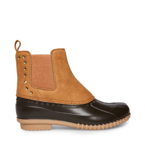 Botki Damskie Steve Madden Newlin Tan Brązowe | SM-930JX