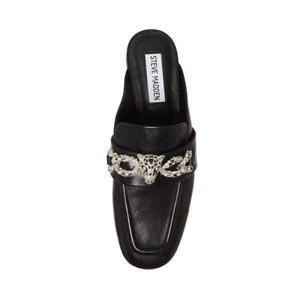 Buty Płaskie Damskie Steve Madden Aces Skórzane Czarne | SM-256VW