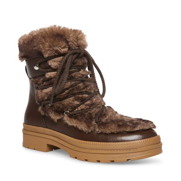 Kozaki Damskie Steve Madden Dione Tan Brązowe Kolorowe | SM-905AU