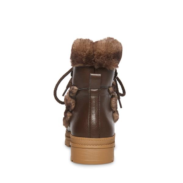 Kozaki Damskie Steve Madden Dione Tan Brązowe Kolorowe | SM-905AU
