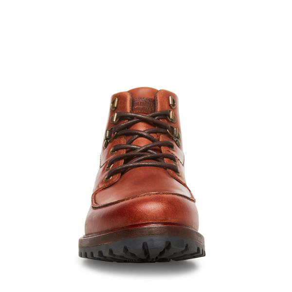 Kozaki Męskie Steve Madden Trekker Cognac Skórzane Brązowe | SM-835KL