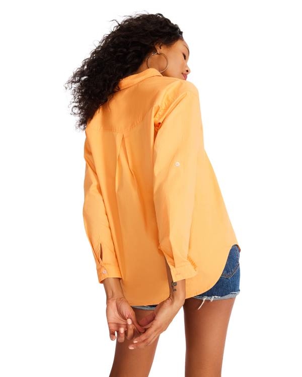 Najfatalniejszy Damskie Steve Madden Bright Button Down Pomarańczowe | SM-921UJ