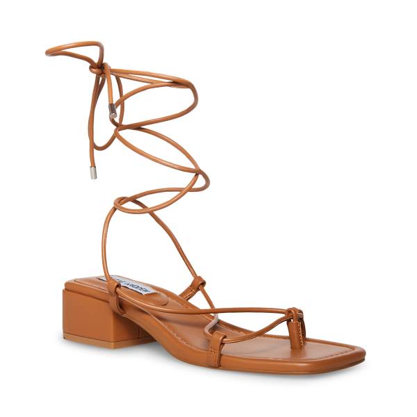 Sandały Damskie Steve Madden Claremont Tan Ciemny Brązowe | SM-341TJ