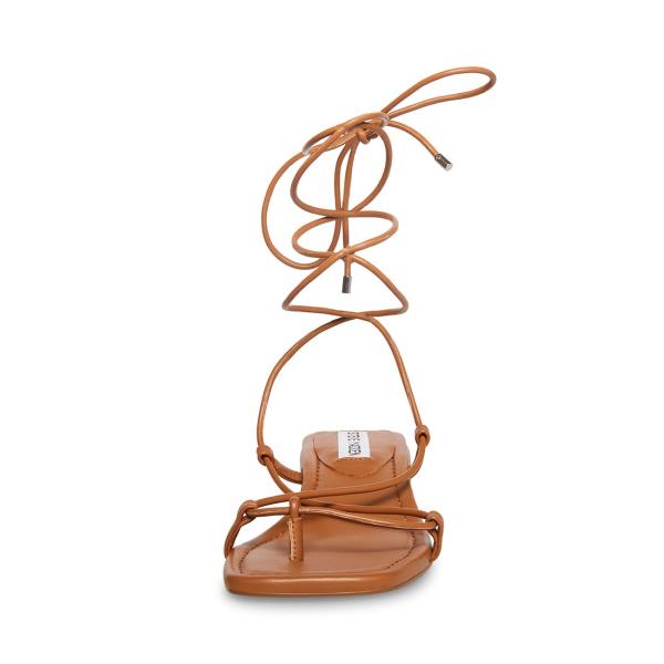 Sandały Damskie Steve Madden Claremont Tan Ciemny Brązowe | SM-341TJ