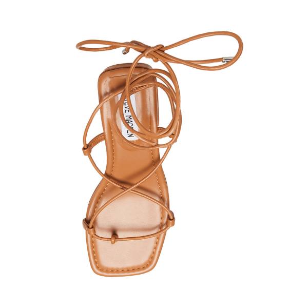 Sandały Damskie Steve Madden Claremont Tan Ciemny Brązowe | SM-341TJ