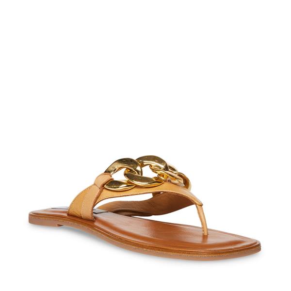 Sandały Damskie Steve Madden Hazel Tan Brązowe | SM-784IY