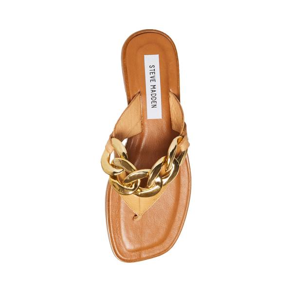 Sandały Damskie Steve Madden Hazel Tan Brązowe | SM-784IY