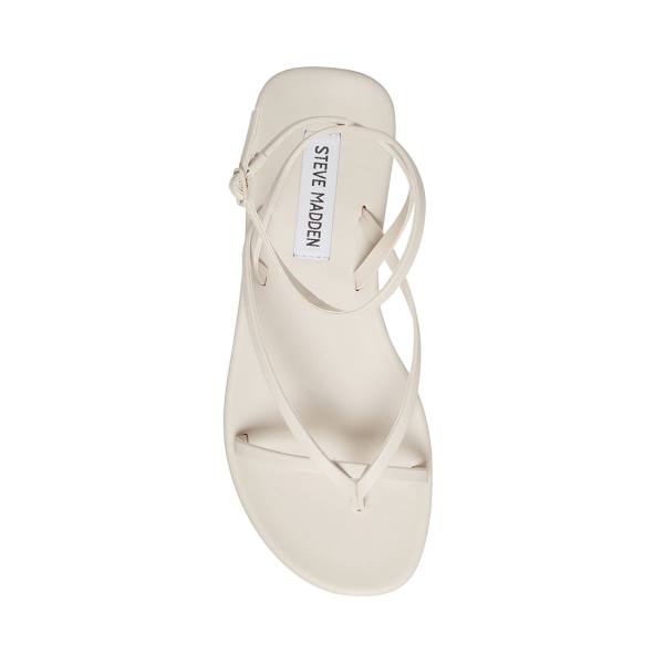 Sandały Damskie Steve Madden Juno Bone Beżowe | SM-486QS