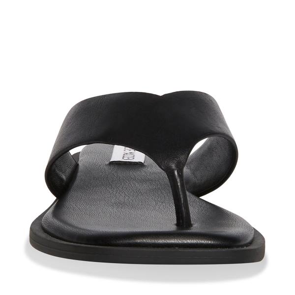 Sandały Damskie Steve Madden Norie Skórzane Czarne | SM-712YS