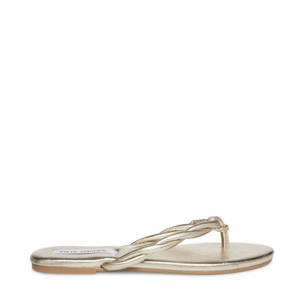 Sandały Damskie Steve Madden Saylor Złote | SM-175CD