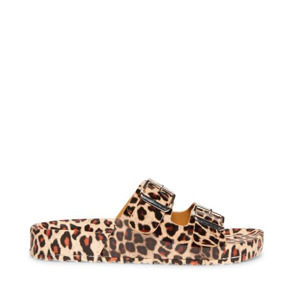 Sandały Damskie Steve Madden Teddy-t Leopard Panterka | SM-938DE