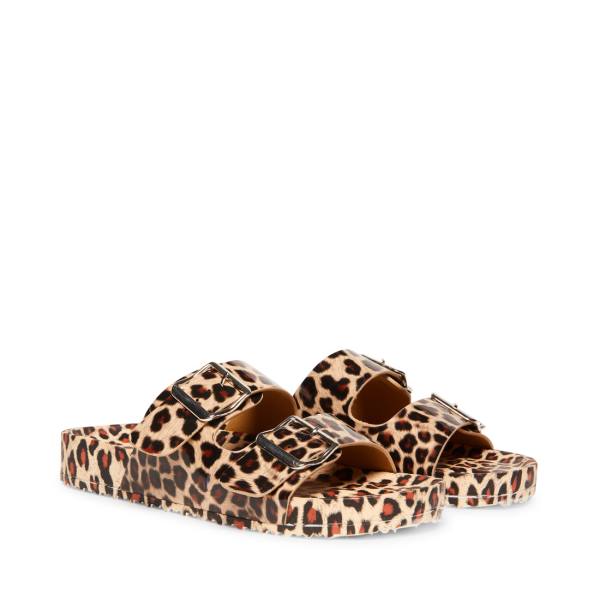 Sandały Damskie Steve Madden Teddy-t Leopard Panterka | SM-938DE