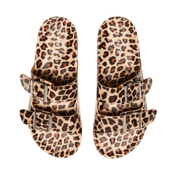 Sandały Damskie Steve Madden Teddy-t Leopard Panterka | SM-938DE