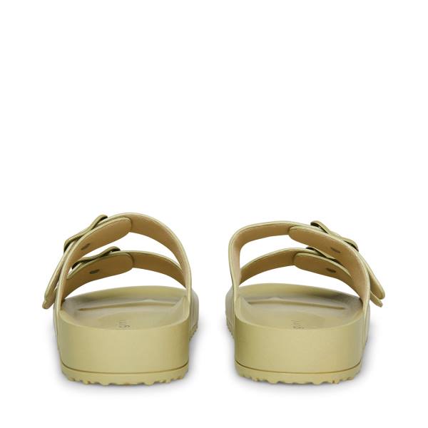 Sandały Damskie Steve Madden Teddy-t Sage Szare Oliwkowe | SM-806GM