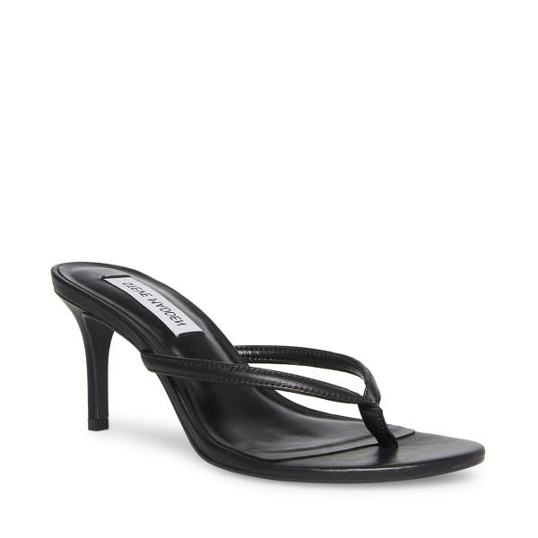 Szpilki Damskie Steve Madden Addyson Skórzane Heel Czarne | SM-605LY