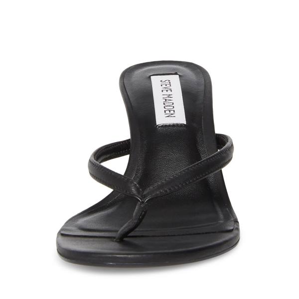 Szpilki Damskie Steve Madden Addyson Skórzane Heel Czarne | SM-605LY