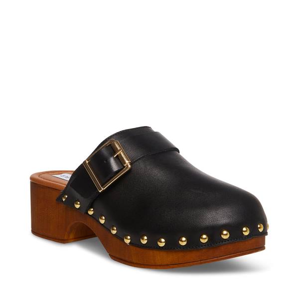 Szpilki Damskie Steve Madden Dana Skórzane Heel Czarne | SM-850LK
