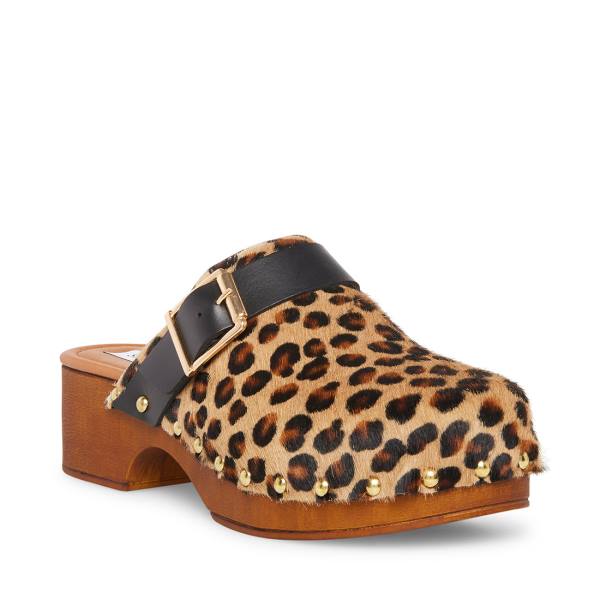 Szpilki Damskie Steve Madden Dana-p Leopard Heel Panterka | SM-297EZ