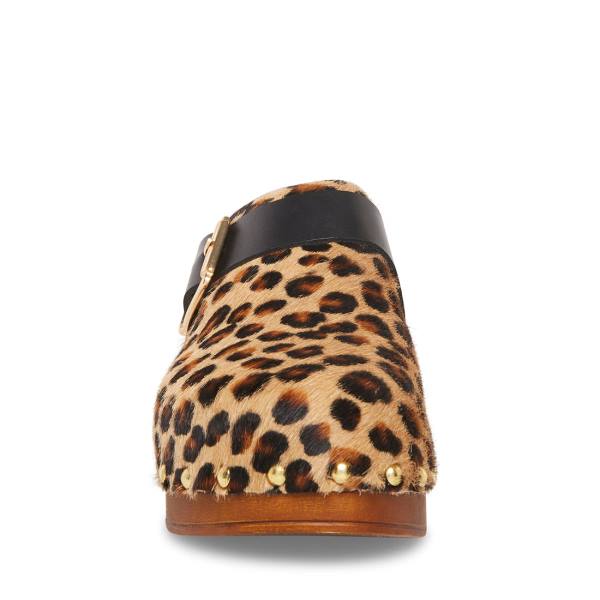Szpilki Damskie Steve Madden Dana-p Leopard Heel Panterka | SM-297EZ