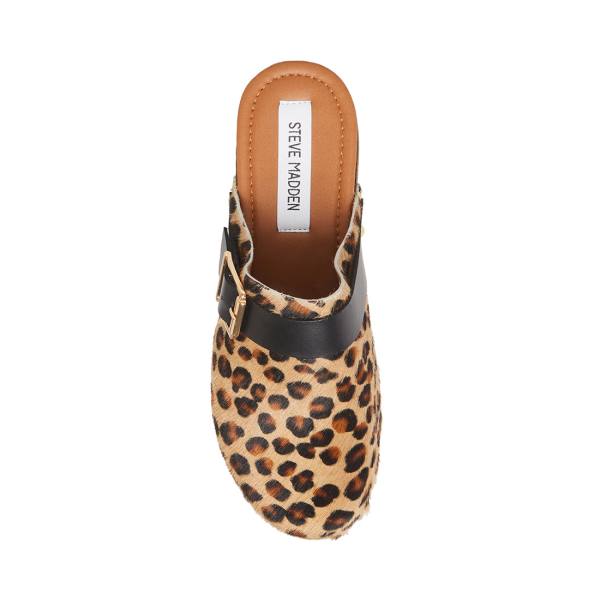 Szpilki Damskie Steve Madden Dana-p Leopard Heel Panterka | SM-297EZ