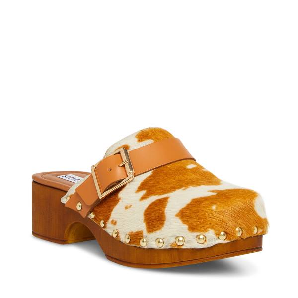 Szpilki Damskie Steve Madden Dana-p Tan Heel Brązowe Brązowe | SM-925US