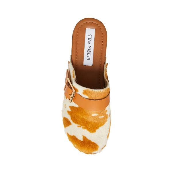 Szpilki Damskie Steve Madden Dana-p Tan Heel Brązowe Brązowe | SM-925US