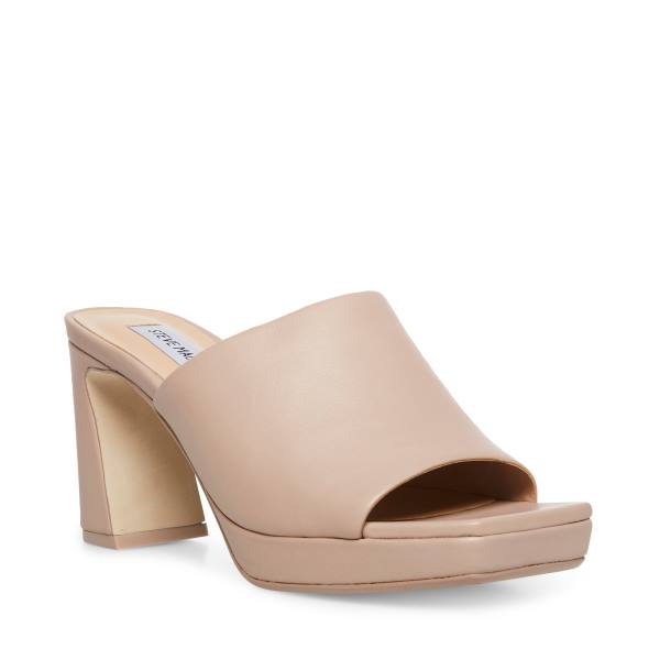 Szpilki Damskie Steve Madden Dedicate Taupe Skórzane Heel Szare Brązowe | SM-408YP