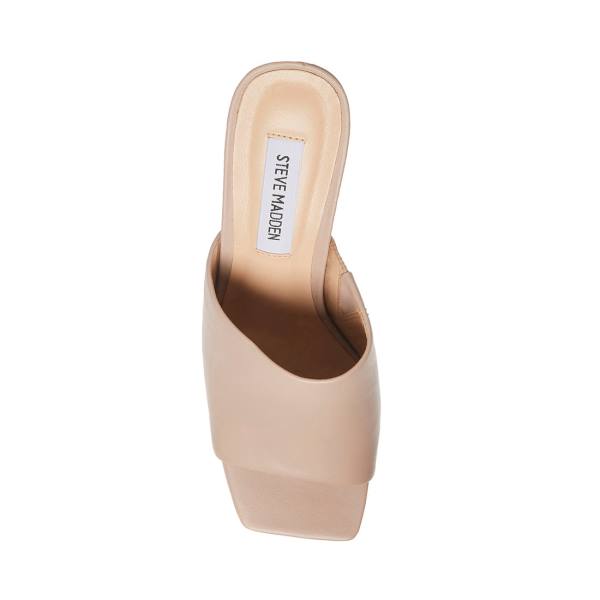 Szpilki Damskie Steve Madden Dedicate Taupe Skórzane Heel Szare Brązowe | SM-408YP
