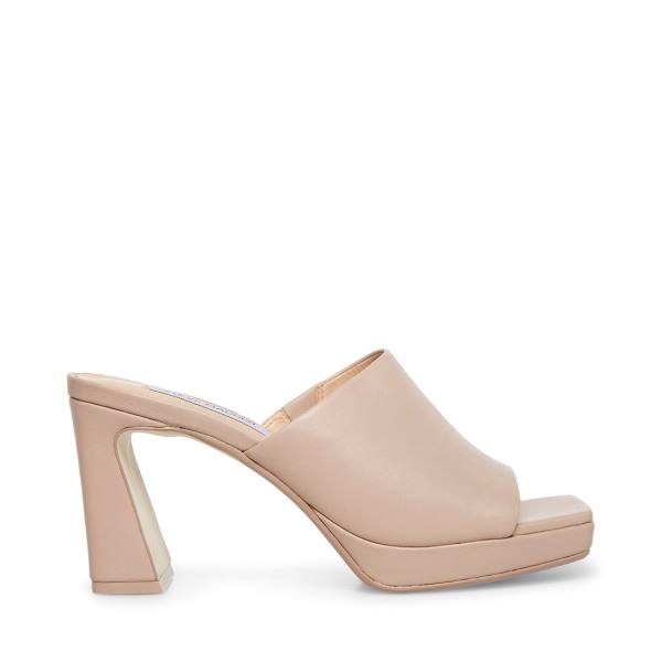 Szpilki Damskie Steve Madden Dedicate Taupe Skórzane Heel Szare Brązowe | SM-408YP