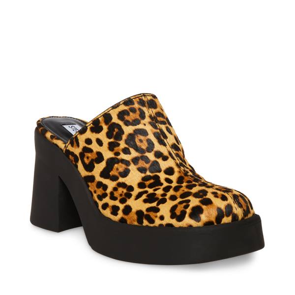 Szpilki Damskie Steve Madden Kam Leopard Heel Panterka | SM-250TE