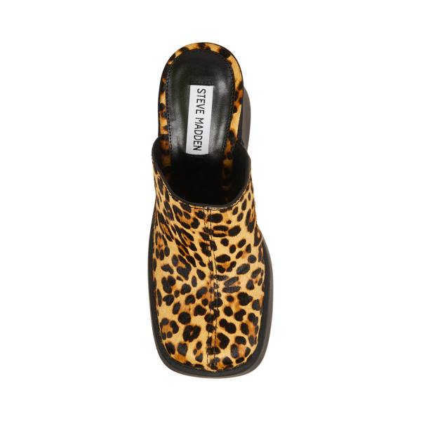 Szpilki Damskie Steve Madden Kam Leopard Heel Panterka | SM-250TE