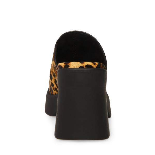 Szpilki Damskie Steve Madden Kam Leopard Heel Panterka | SM-250TE