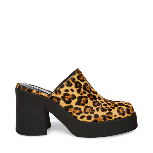 Szpilki Damskie Steve Madden Kam Leopard Heel Panterka | SM-250TE