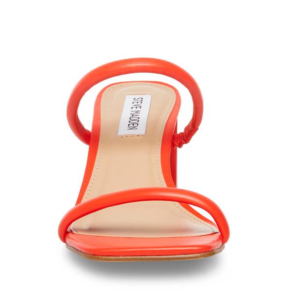 Szpilki Damskie Steve Madden Lilah Heel Czerwone | SM-639TF